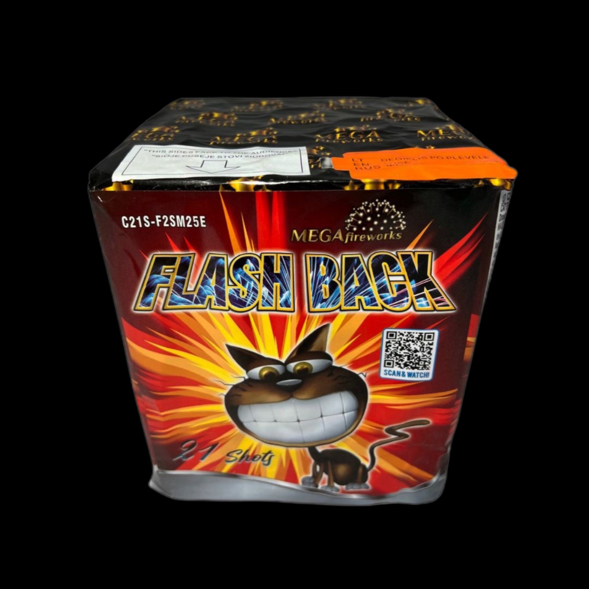 „Flash Back“ – PyroMega