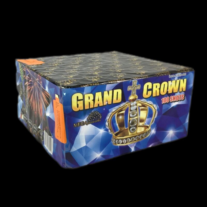 100s f2s20 002 juodam fone