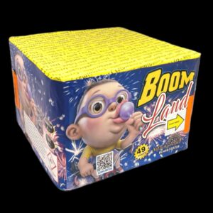 Bc49s f2s25e juodam fone